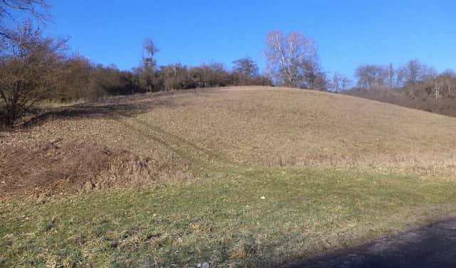 Prodej pole 3 880 m², Snědovice, okres Litoměřice