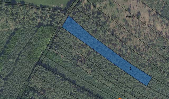 Prodej lesa 225 m², Sokoleč, okres Nymburk
