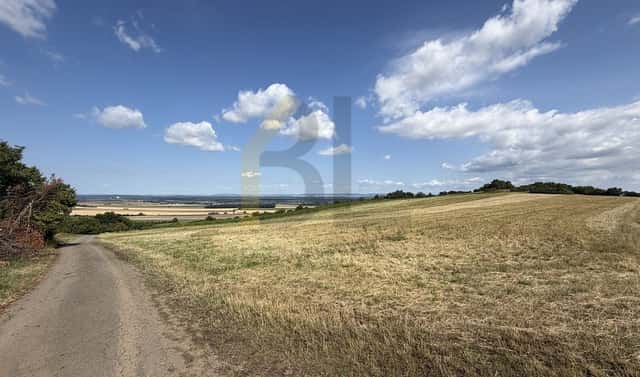 Prodej zahrady 3 867 m², Veselská, Strážnice, okres Hodonín
