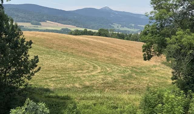 Prodej stavebního pozemku 4 689 m², Dlouhý Most, okres Liberec