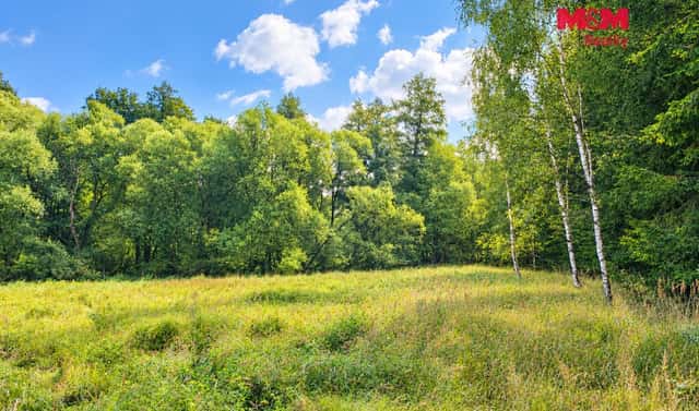 Prodej louky 10 113 m², Kožlany, okres Plzeň-sever