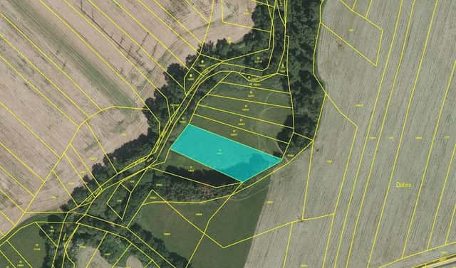 Prodej pole 5 480 m², Řepeč, okres Tábor