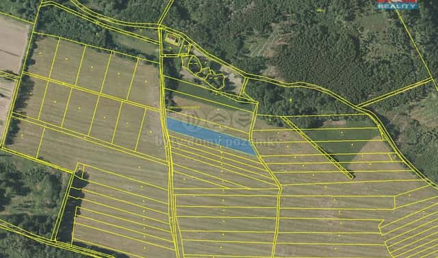 Prodej louky 3 841 m², Kdyně – Podzámčí, okres Domažlice