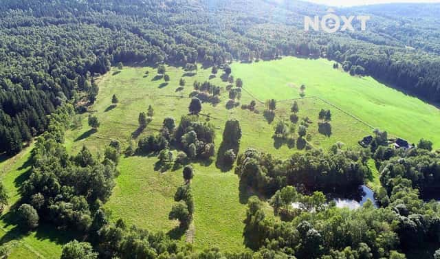 Prodej louky 68 906 m², Hora Svaté Kateřiny, okres Most