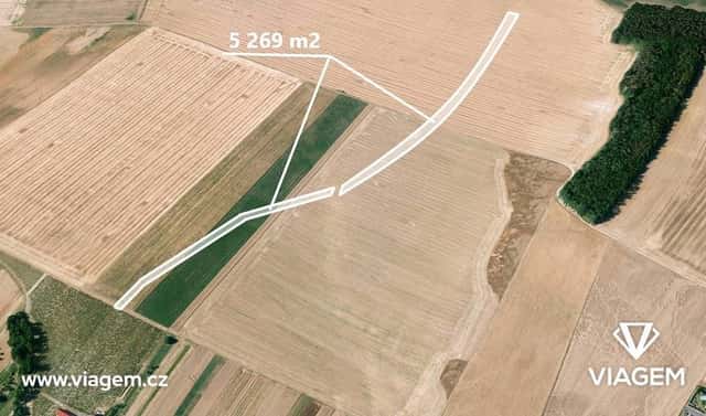 Prodej pole 1 317 m², Kuchařovice, okres Znojmo