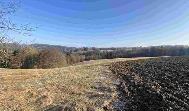 Prodej pole 28 066 m², Semily – Spálov