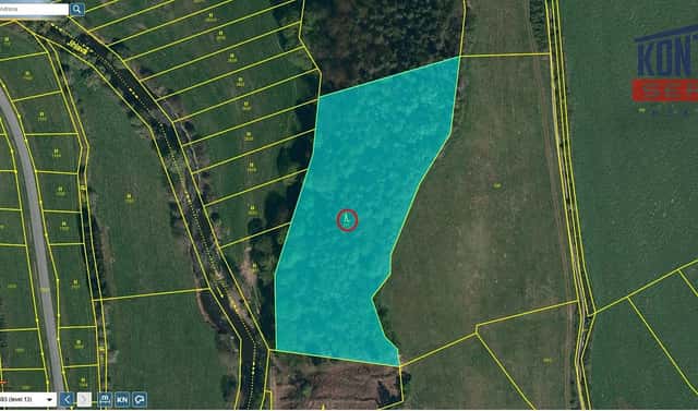 Prodej lesa 9 664 m², Číchov, okres Třebíč