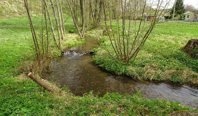 Prodej pozemku 5 086 m², Kvasiny, okres Rychnov nad Kněžnou