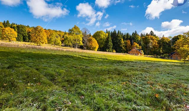 Prodej louky 6 572 m², Stožec, okres Prachatice