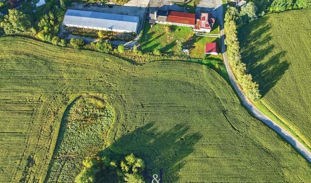 Prodej komerčního pozemku 13 896 m², Brniště, okres Česká Lípa