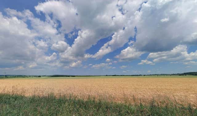 Prodej pole 17 261 m², Stádlec – Hájky, okres Tábor