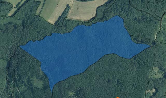 Prodej lesa 1 860 m², Trnava, okres Zlín