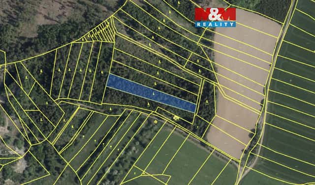 Prodej lesa 7 177 m², Mysletice, okres Jihlava