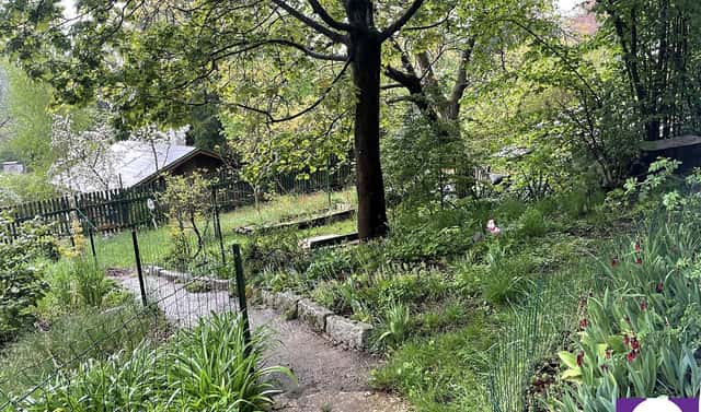 Prodej zahrady 401 m², Na skalkách, Lety, okres Praha-západ