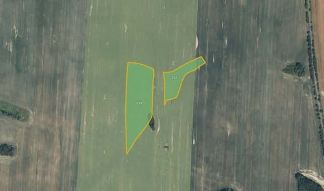 Prodej pole 11 320 m², Hostouň – Holubeč, okres Domažlice