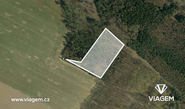 Prodej lesa 980 m², Mělnické Vtelno, okres Mělník
