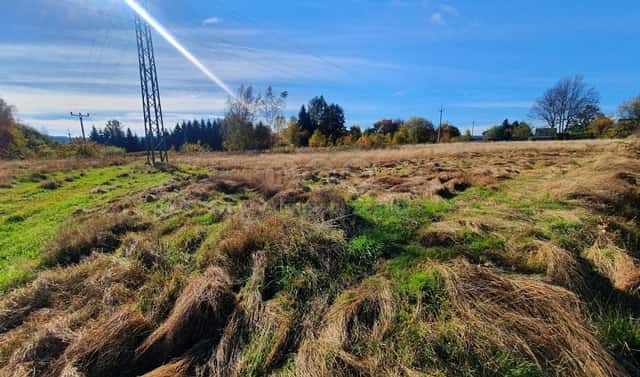Prodej louky 10 565 m², Rumburk, okres Děčín