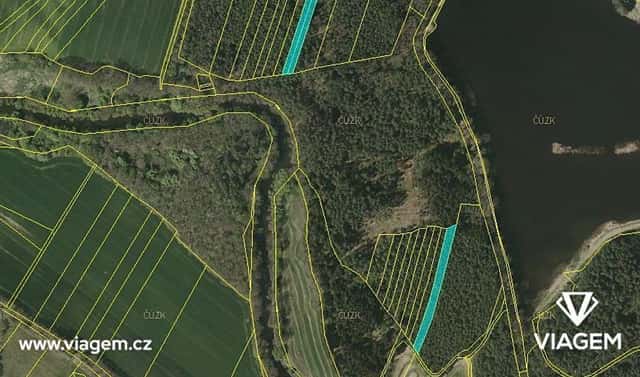 Prodej lesa 3 880 m², Drahov, okres Tábor