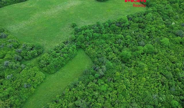 Prodej zahrady 1 690 m², Třebenice, okres Litoměřice