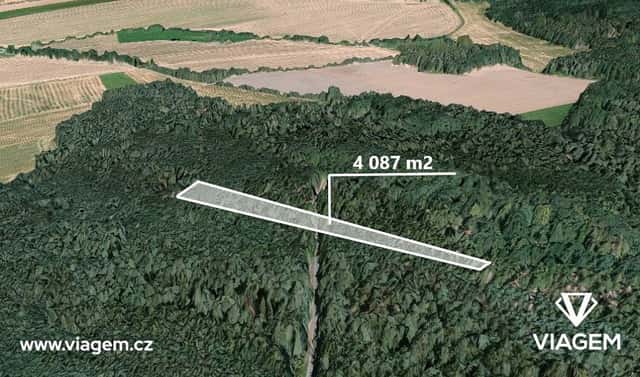 Prodej lesa 4 087 m², Hradiště, okres Domažlice