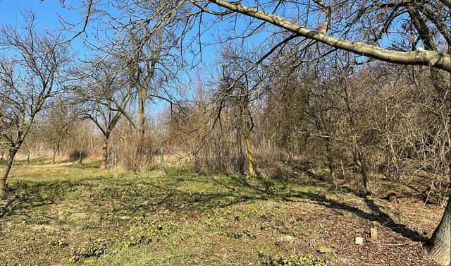 Prodej stavebního pozemku 1 821 m², Koryčany – Jestřabice, okres Kroměříž