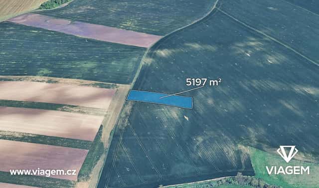 Prodej pole 1 732 m², Velké Němčice, okres Břeclav