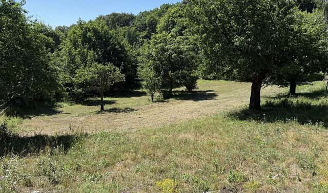Prodej domu 85 m² s pozemkem 352 m², Litvínov – Písečná, okres Most