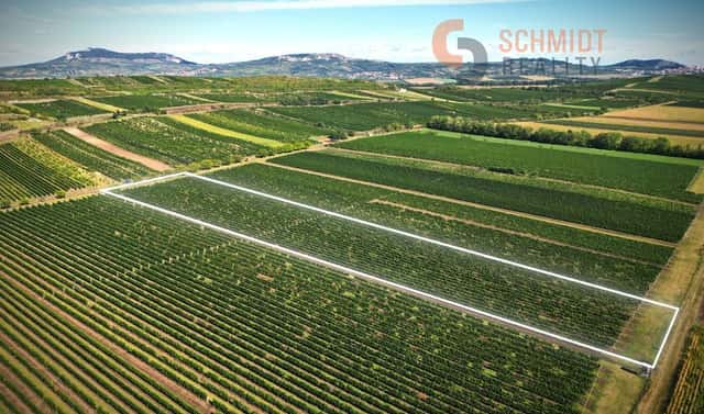 Prodej pozemku 15 935 m², Březí, okres Břeclav