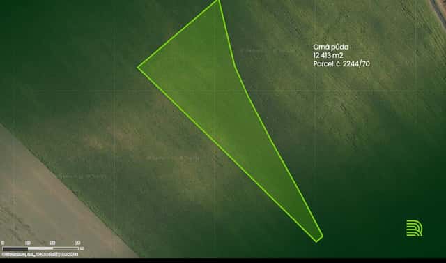Prodej pole 12 413 m², Hrušky, okres Břeclav