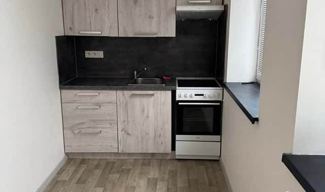 Pronájem bytu 1+1 26 m², Rybářská, Opava – Předměstí