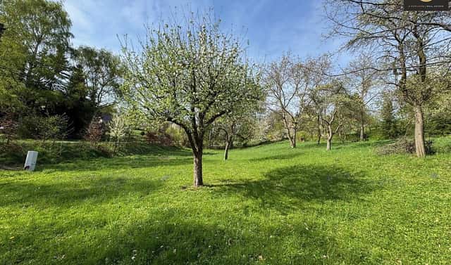 Prodej stavebního pozemku 3 412 m², Žandov – Radeč, okres Česká Lípa
