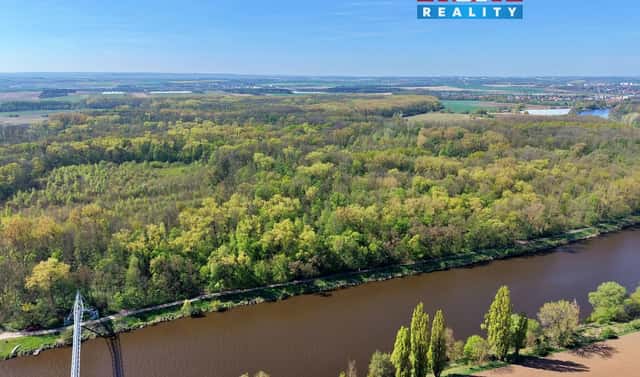 Prodej lesa 70 048 m², Přerov nad Labem, okres Nymburk