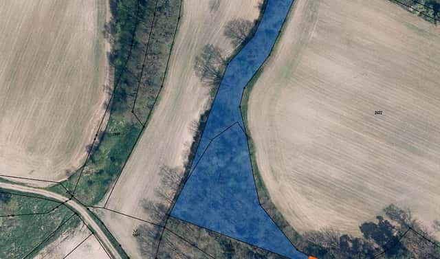 Prodej lesa 434 m², Kravaře, okres Česká Lípa