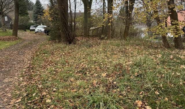 Prodej zahrady 669 m², Janův Důl – Dolní Jamné, okres Liberec