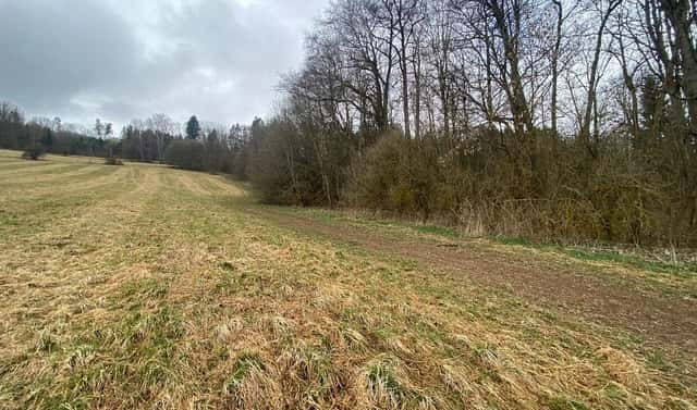 Prodej pole 7 826 m², Semily