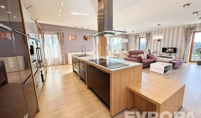 Pronájem bytu 3+kk 153 m², U Borského parku, Plzeň – Jižní Předměstí, okres Plzeň-město