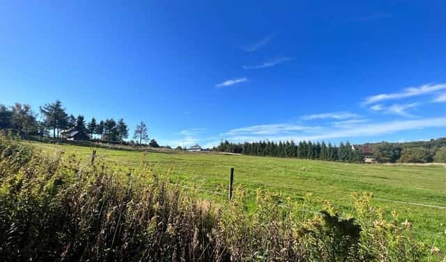 Prodej louky 8 082 m², Dubí, okres Teplice