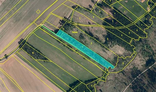 Prodej lesa 5 221 m², Křižanov – Bojanov, okres Žďár nad Sázavou