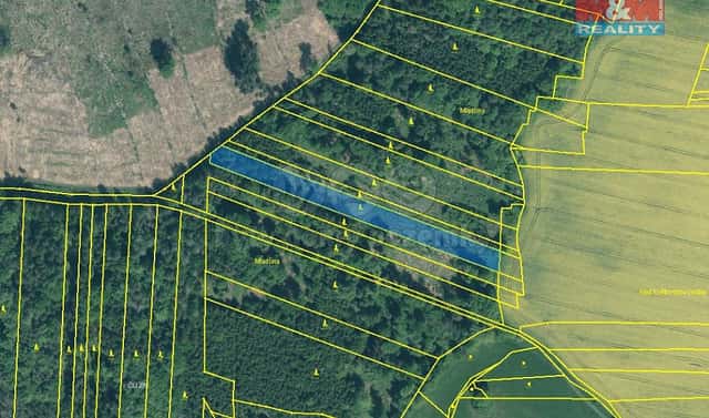 Prodej lesa 4 125 m², Stehlovice, okres Písek
