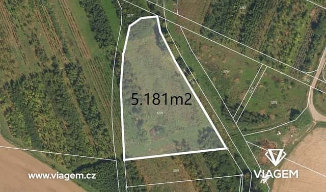 Prodej pole 5 181 m², Třebařov, okres Svitavy