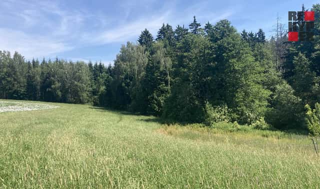 Prodej pole 3 130 m², Lomnice nad Popelkou – Želechy, okres Semily