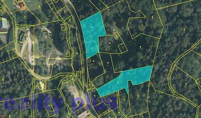Prodej lesa 4 465 m², Bedřichov, okres Jablonec nad Nisou