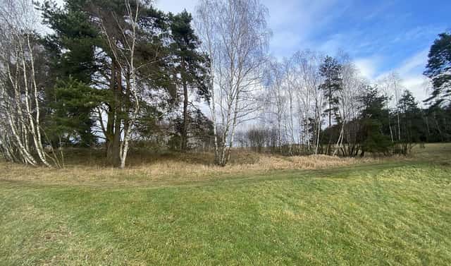 Prodej pozemku 11 526 m², Kaplice – Pořešín, okres Český Krumlov