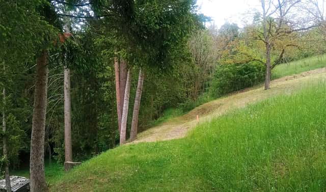 Prodej zahrady 3 429 m², Nedachlebice, okres Uherské Hradiště