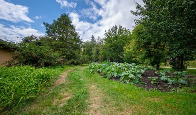 Prodej stavebního pozemku 538 m², Kamenice nad Lipou – Pravíkov, okres Pelhřimov