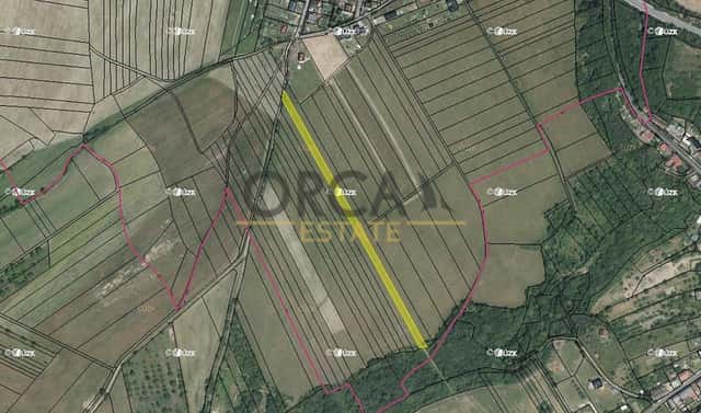 Prodej pole 4 582 m², Dolní Újezd, okres Přerov