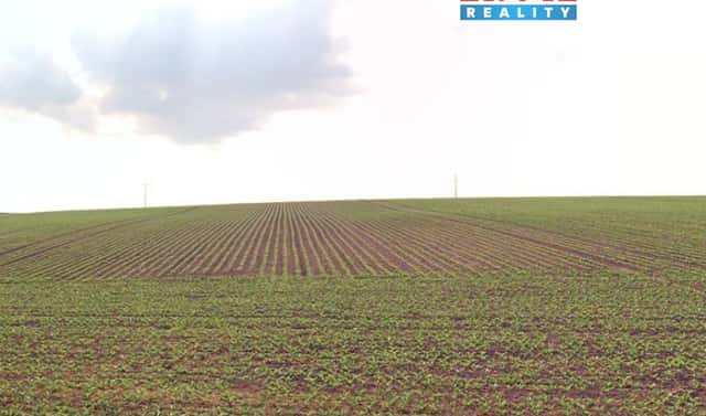 Prodej pole 2 579 m², Štěpánkovice, okres Opava