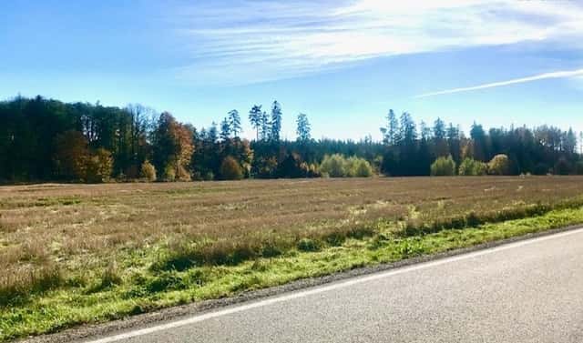 Prodej komerčního pozemku 1 354 m², Želetava – Šašovice, okres Třebíč