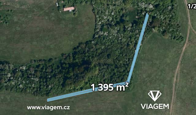 Prodej lesa 4 655 m², Kaňovice, okres Zlín