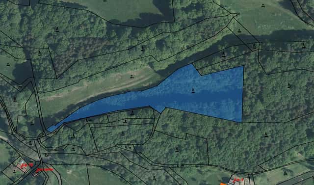 Prodej lesa 2 332 m², Lutonina, okres Zlín